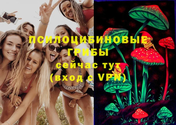 синтетический гашиш Пестово
