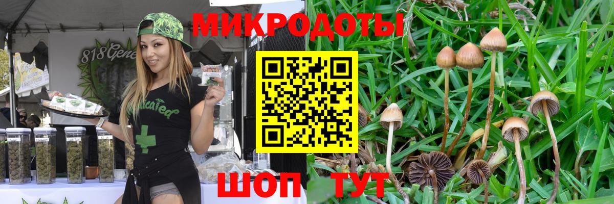 Галлюциногенные грибы Cubensis  Вход с VPN  Сертолово 